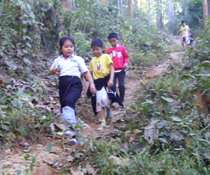 Our school has forest on three sides, and hikes are a popular activity -- this was a 12-kilometer loop.