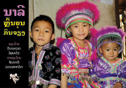 Naly's Hmong New Year book cover