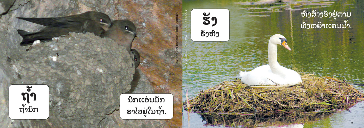 sample pages from Animal Homes, published in Laos by Big Brother Mouse