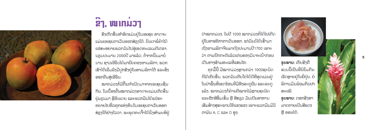 sample pages from Food Origins, published in Laos by Big Brother Mouse