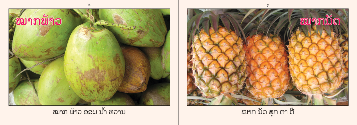 sample pages from Fruits That I Know, published in Laos by Big Brother Mouse