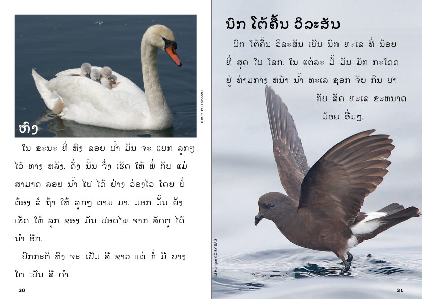 sample pages from The Green Book about Birds, published in Laos by Big Brother Mouse