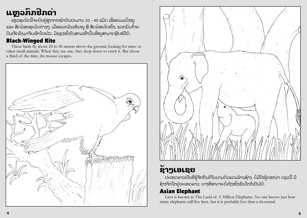 sample-pages-from-the-book-lao-animals-coloring-book