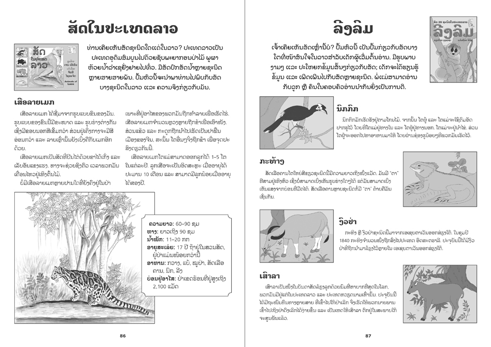 sample pages from Our Family Book, published in Laos by Big Brother Mouse
