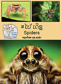 Spiders book cover