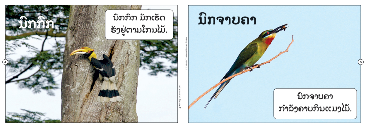 sample pages from Birds That I Know, published in Laos by Big Brother Mouse