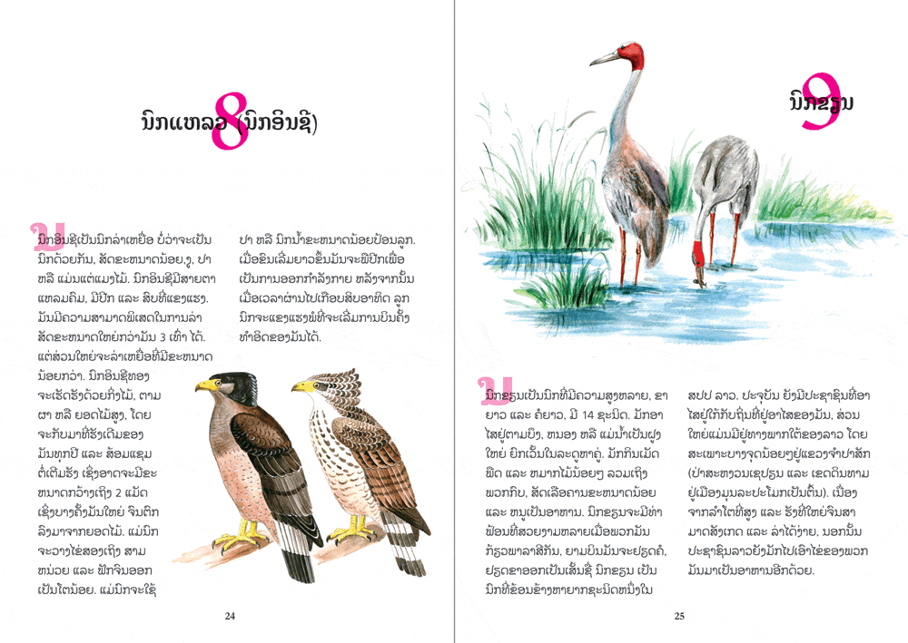 sample pages from Birds of the World, published in Laos by Big Brother Mouse