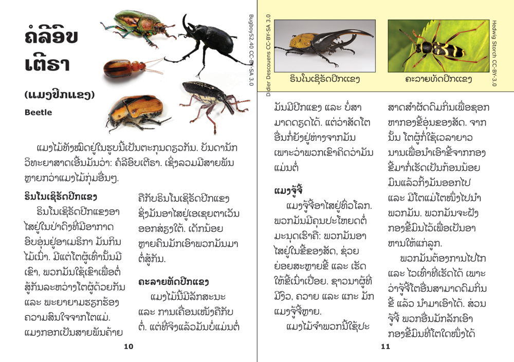 sample pages from Insects are Fascinating, published in Laos by Big Brother Mouse
