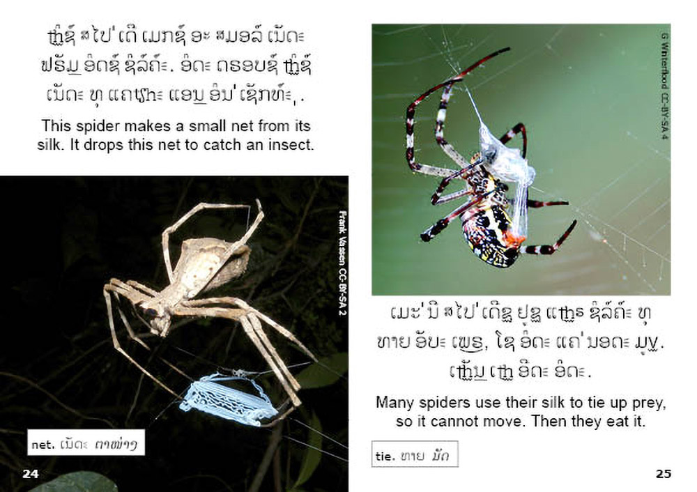 Sample pages from our book: Spiders