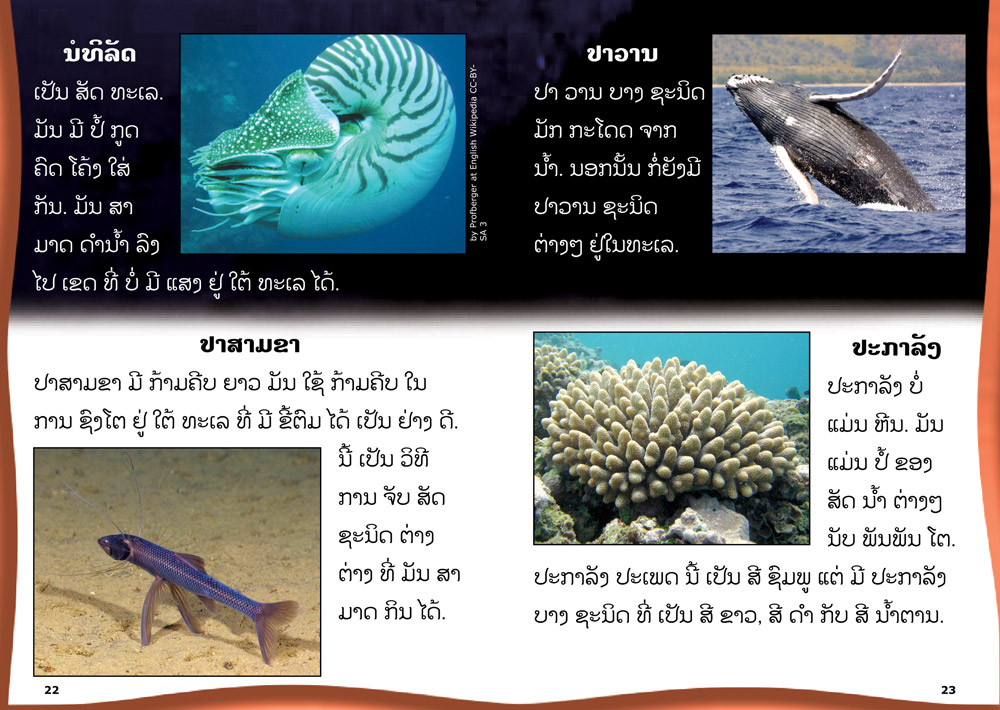 sample pages from Yellow Book of Interesting Facts, published in Laos by Big Brother Mouse